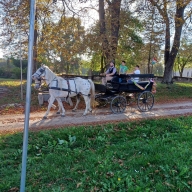 szuret2023_18_20231017
